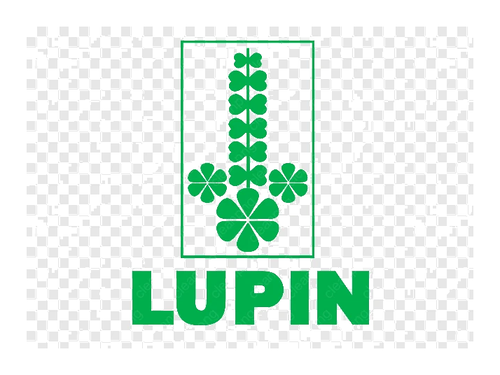 Lupin